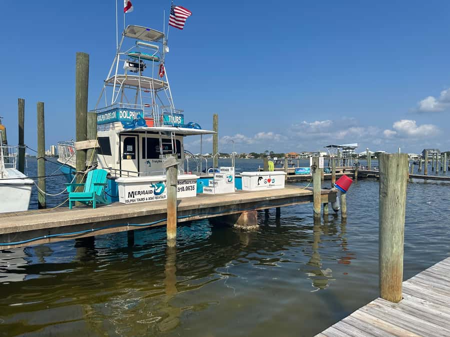 Dolphin & Scenic Bay Sightseeing Cruise Up to 49, Pensacola - The Frisky Mermaid: Comfort and Viewing Perches
