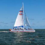 Dolphin Watch & Harbor Tour in Historical St. Augustine - The Scenic Waterfront and Views of St. Augustine