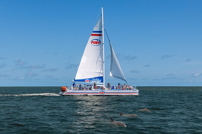 Dolphin Watch & Harbor Tour in Historical St. Augustine - The Scenic Waterfront and Views of St. Augustine