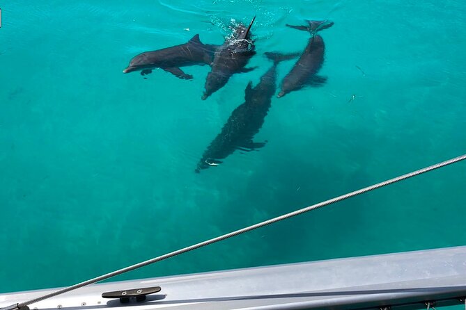 Dolphin Watch + Sunset Sail with Honest Eco - Locating the Meeting Point at Margaret Street