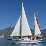 Dolphin Watching Adventure in Estepona Bay - What Makes This Dolphin Watching Tour Unique in Estepona Bay