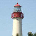 Dolphin Watching around Cape May - Departure Point and Practicalities