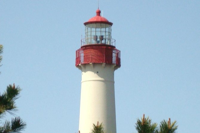 Dolphin Watching around Cape May - Departure Point and Practicalities