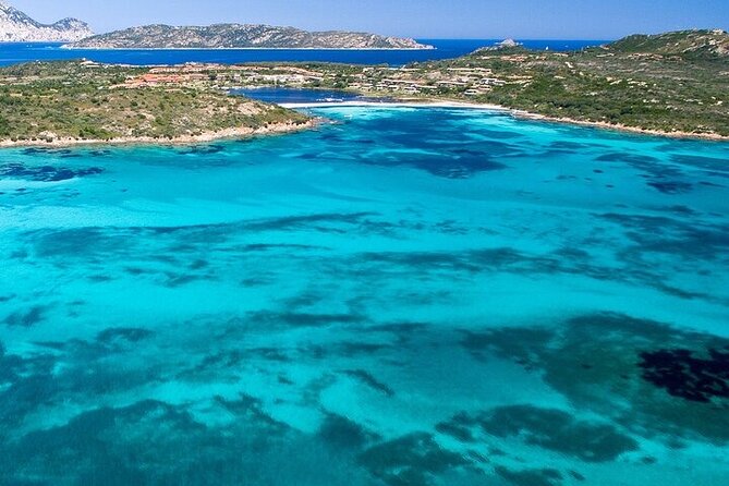 Dolphin Watching Boat Excursion to Figarolo Island from Olbia - What to Expect During the Dolphin and Snorkel Adventure