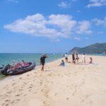 Dolphin watching in Setúbal - Scenic Coastal Highlights Along the Sado River