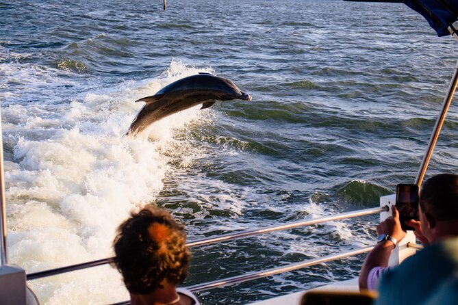 Dolphin Wildlife Cruise Fort Myers Beach - Exploring Estero Bay and Nearby Shores