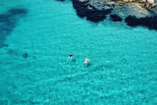 Dolphins Rib boat (up 6 people) Private - Starting Point in Olbia: Easy Access and Convenience