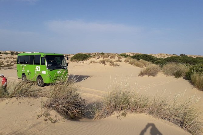 Doñana National Park in 4x4 and El Rocío - Visiting the Palace of El Acebrón
