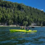 Door County: Deaths Door Kayak Tour with Guide - The Guide Justin and His Expert Storytelling Style