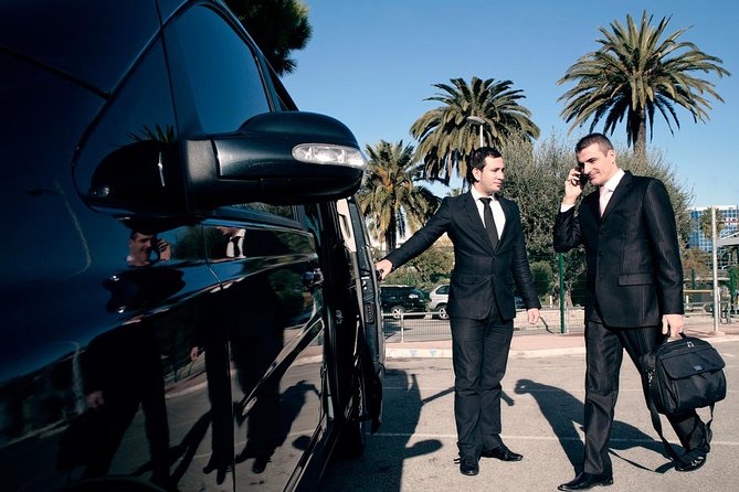 Door-To-Door Private Transfer Civitavecchia Port to Fiumicino FCO Airport - Why Choose a Private Transfer Instead of Public Transport