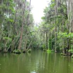 Dora Canal Half-Day Kayak and Paddle Board Rental Adventure - Equipment and Gear for a Relaxed Paddle