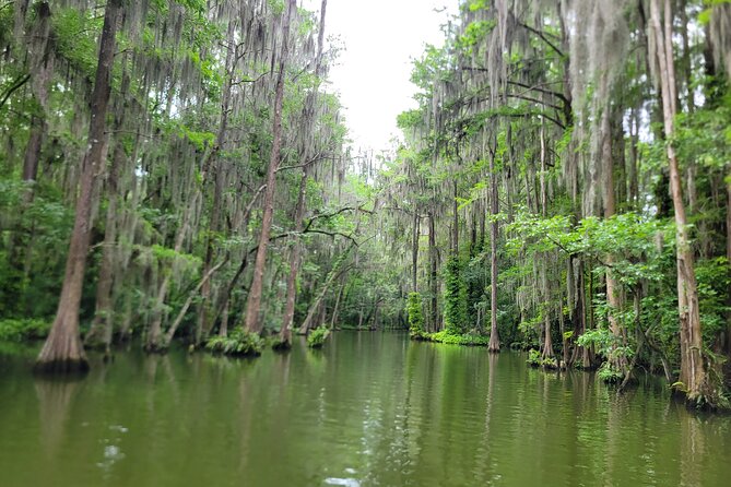 Dora Canal Half-Day Kayak and Paddle Board Rental Adventure - Equipment and Gear for a Relaxed Paddle