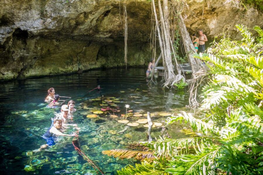 Dos Cenotes Adventure: Swim, Explore & Taste - Convenient Pickup and Travel Time Between Stops