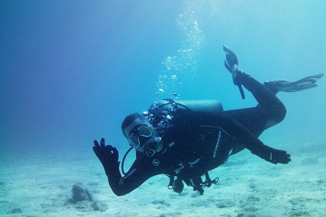 Double Shore Dive (certified divers) - Dive Locations and What to Expect at Each Site