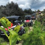 Double Trouble Adventure in Limassol - Guided Off-Road ATV Adventure Through Cyprus’s Rugged Landscapes