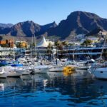 Double Tuk Tuk Tour in Costa Adeje - Highlights of the Costa Adeje Stops