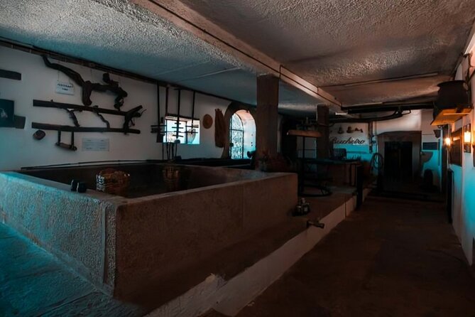 Douro Adventure - Tour 4x4 | Full Day Private Tour | All Included - Starting the Journey: Porto to the Douro Valley