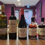 Douro and Port Wine Tasting in Vila Nova de Gaia - What You Learn About Douro’s Terroir and Grape Varieties