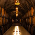 Douro Luxury - Douro Private Cruise with Premium Winery and Restaurant - Cruising Douro River on a Private Yacht