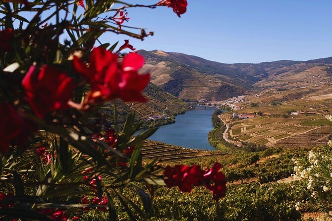 Douro Three Winery Small Group Tour with Lunch and Tastings - Experiencing the Douro River and Scenic Vistas