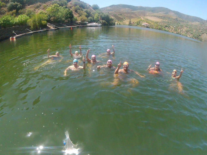 Douro Valley: Open Water Swimming Tour - Starting the Day in Porto and Journey to Pinhão
