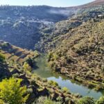 Douro Valley Prime Tour: Wine Tastings, Boat and Lunch from Porto - Crossing the Douro’s Tributaries and Mountain Tunnels