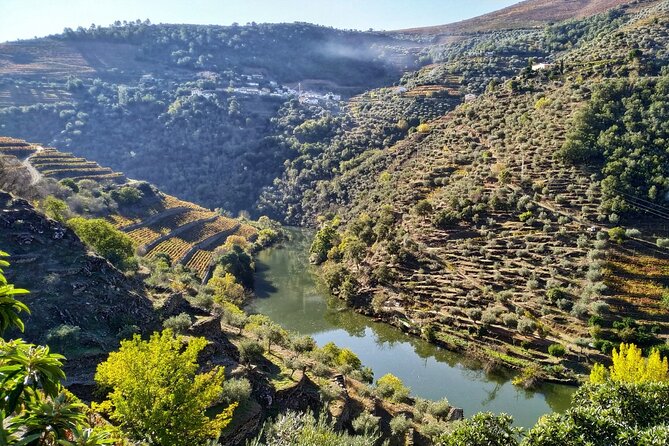 Douro Valley Prime Tour: Wine Tastings, Boat and Lunch from Porto - Crossing the Douro’s Tributaries and Mountain Tunnels