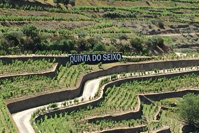 Douro Valley Private Tour from Oporto - Visiting Quinta do Tedo Winery for Tastings