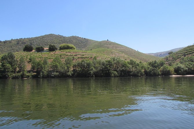 Douro Valley Tour: 2 Vineyard Visits, River Cruise, Winery Lunch - Scenic Drive on Portugal’s Famous National Road 222