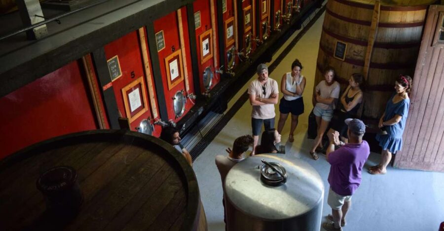 Douro Valley: Winery Tour at Quinta do Tedo and Tastings - Location and Meeting Details at Quinta do Tedo