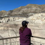Drumheller Full-day Private Sightseeing Tour - How the Private Tour Offers Flexibility and Comfort