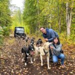 Dryland Dog Sled Tour - What the Tour: A Guided Ride in a Cozy Vehicle