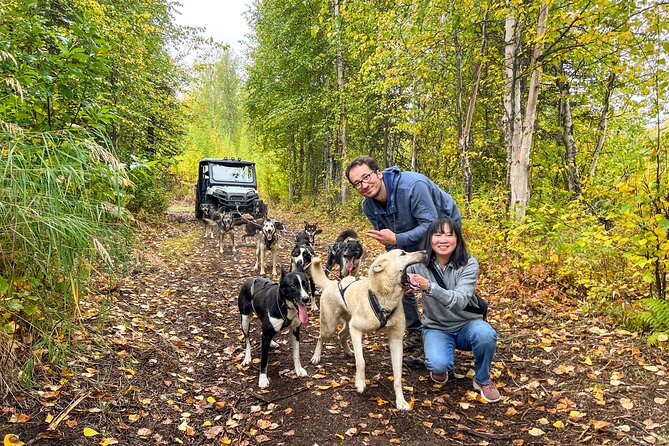 Dryland Dog Sled Tour - What the Tour: A Guided Ride in a Cozy Vehicle