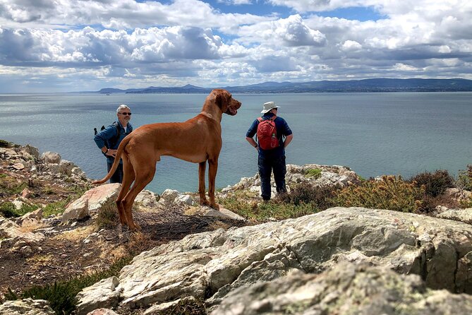 Dublin Coastal Hike with Howth Adventures - Walking Through Time at St Mary’s Abbey