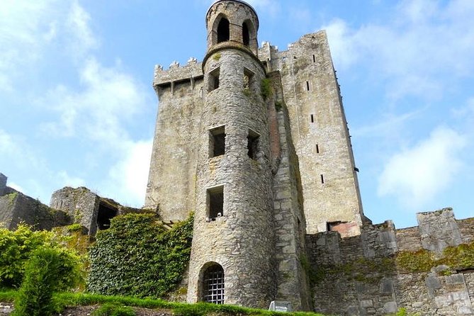 Dublin to Cork, Blarney Castle, Cobh Cathedral by Train and Coach - A Closer Look at Blarney Castle and Gardens