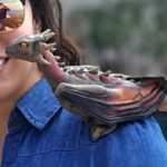 Dubrovnik: Game of Thrones Tour with visit to Lokrum Island - Iconic Dubrovnik Old Town Landmarks