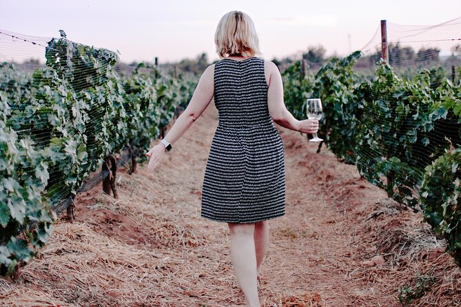 Dubrovnik Private Walking Tour and Wine - Discovering Dubrovnik’s Old Town Highlights