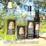 Dubrovnik to Split PRIVATE transfer with GOURMET LUNCH in price - Unique Dining in a Century-Old Olive Grove