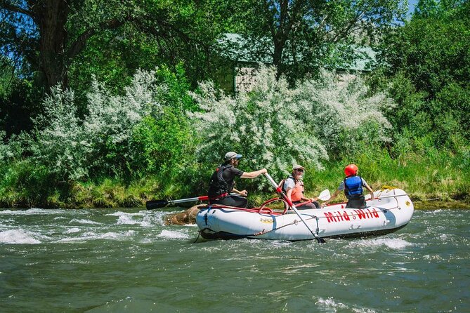 Durango 3/4 Day Rafting Trip with Lunch - Lower Animas River - Durangos Lower Animas River: Starting Point and Logistics