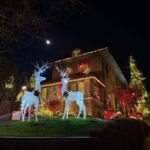 Dyker Heights Christmas Lights Bus Tour - Exploring Dyker Heights: The Neighborhood’s Holiday Tradition