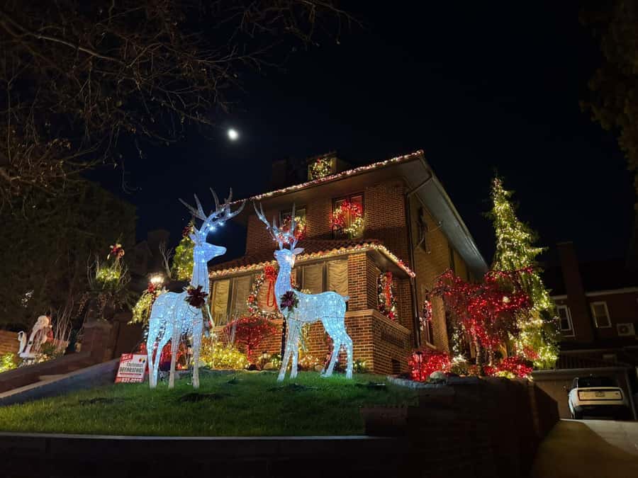 Dyker Heights Christmas Lights Bus Tour - Exploring Dyker Heights: The Neighborhood’s Holiday Tradition
