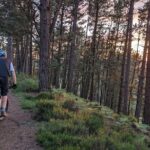 E-Bike excursions from Wareham, Dorset - Exploring Old Harry Rocks and Studland Beach