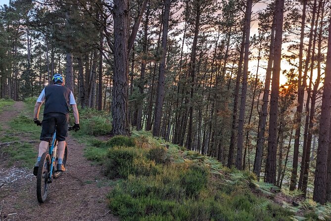 E-Bike excursions from Wareham, Dorset - Exploring Old Harry Rocks and Studland Beach