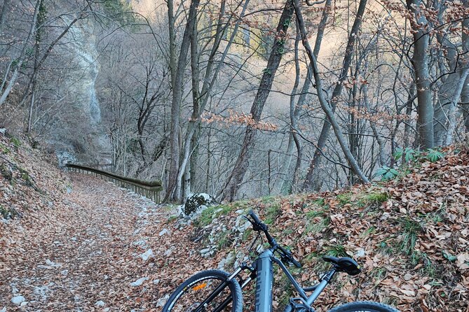 E-bike rental in Riva Del Garda - The Quality of E-Bikes and Equipment