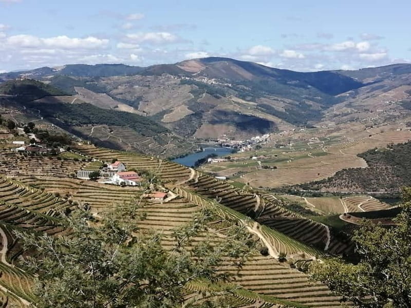 e-Bike Through Douro Valley Wine Region for Half Day Tour - Scenic Stops in Pinhão, São Cristovão, and More