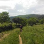 E-bike to Conimbriga Roman Ruins, from Coimbra - Scenic Routes: From Coimbra to Conímbriga on Two Pilgrimage Trails