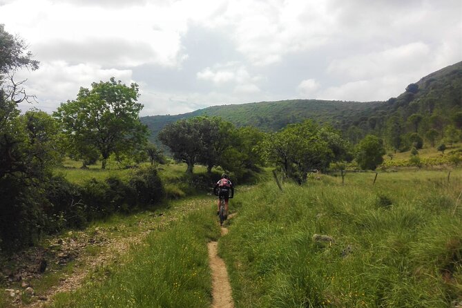 E-bike to Conimbriga Roman Ruins, from Coimbra - Scenic Routes: From Coimbra to Conímbriga on Two Pilgrimage Trails