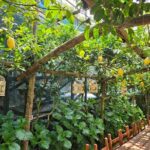 E-Bike Tour in the Sorrento Peninsula and Visit to Acetaia - Discover the Sorrento Coast’s Green Hills and Ancient Villages