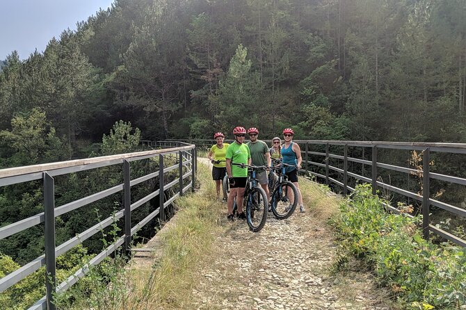 E-bike Tour: Istrian Countryside & Parenzana - Exploring Groznjan: A Medieval Town and Cultural Hub