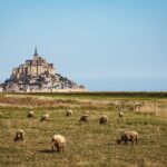 E-Bike Tour to Mont Saint Michel // Private guided tour - Starting Point and Convenient Pickup in Bayeux